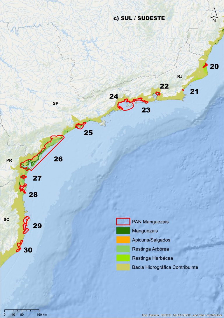 MAPA_Figura 2c. Macrorregião Sul_Sudeste